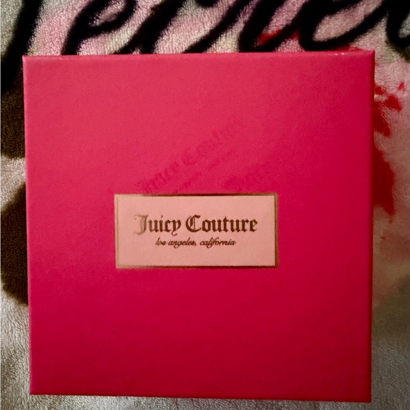 Juicy Couture Silver Bracelet BNIB - Picture 4 of 4